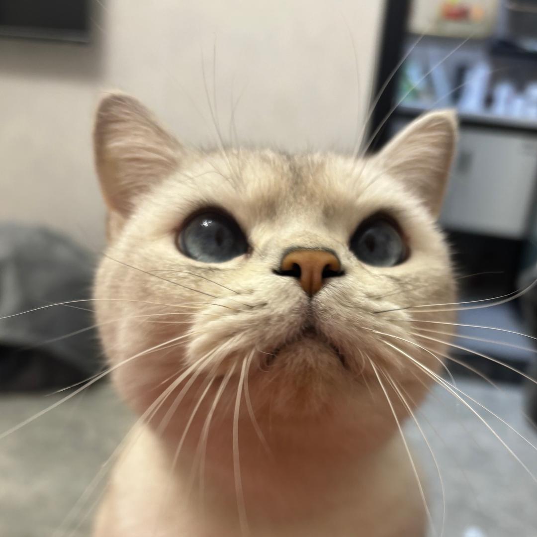 漂漂晚安