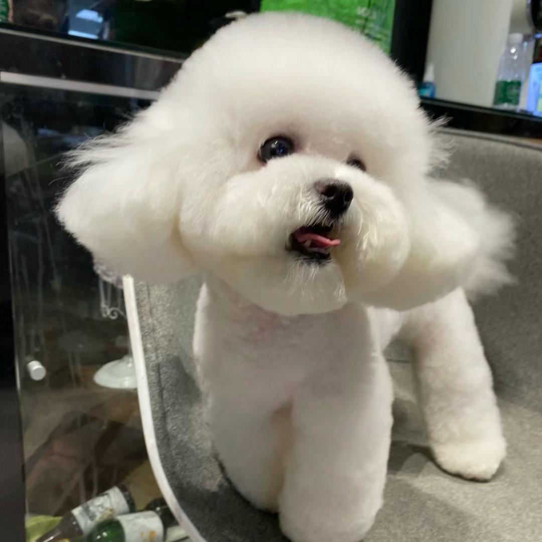 小太阳☀