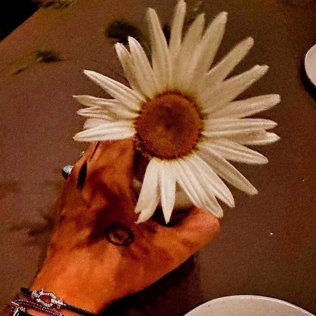 🌊海上森林的猫