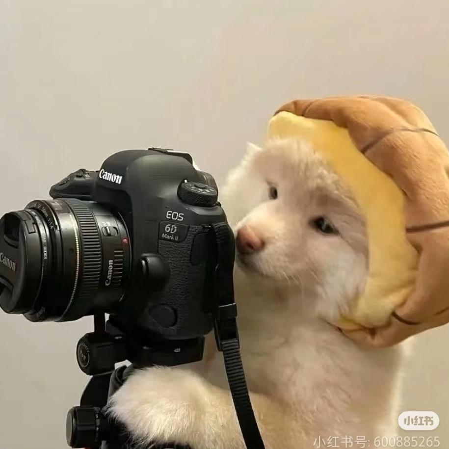 俊
