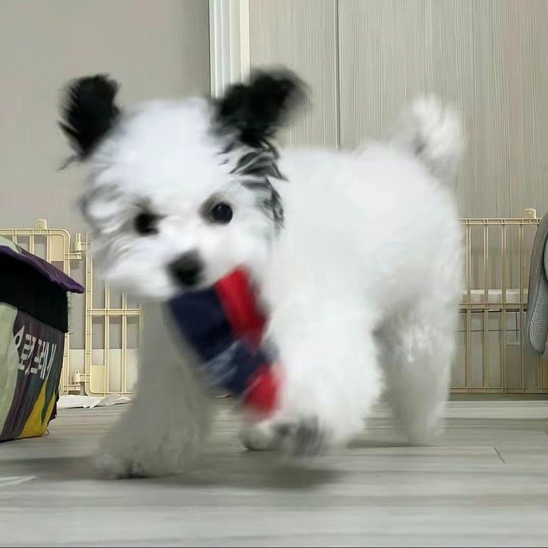 壬