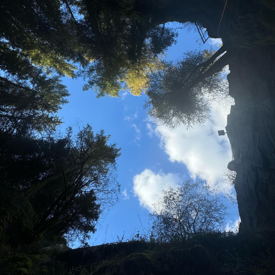 …