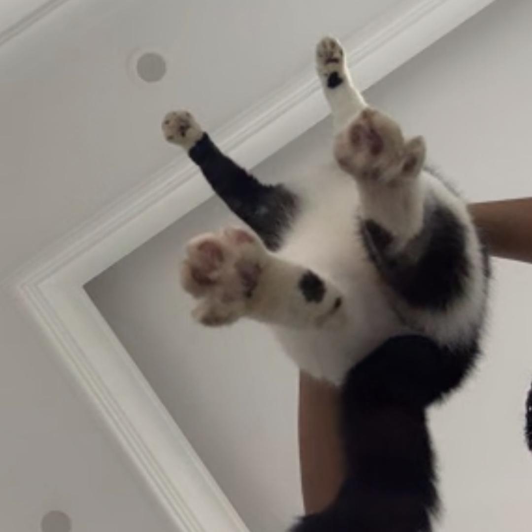 搞笑艺人小飞飞