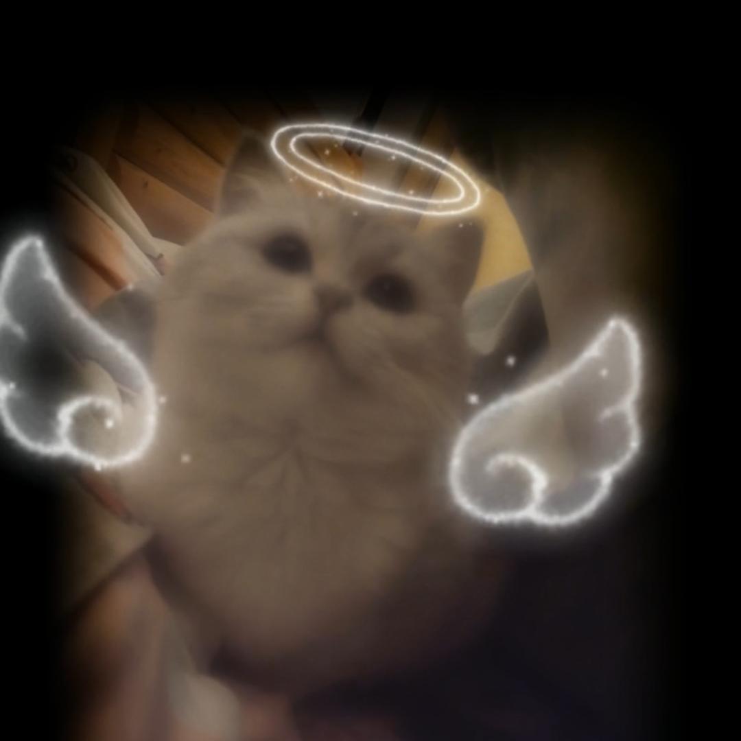 🧊