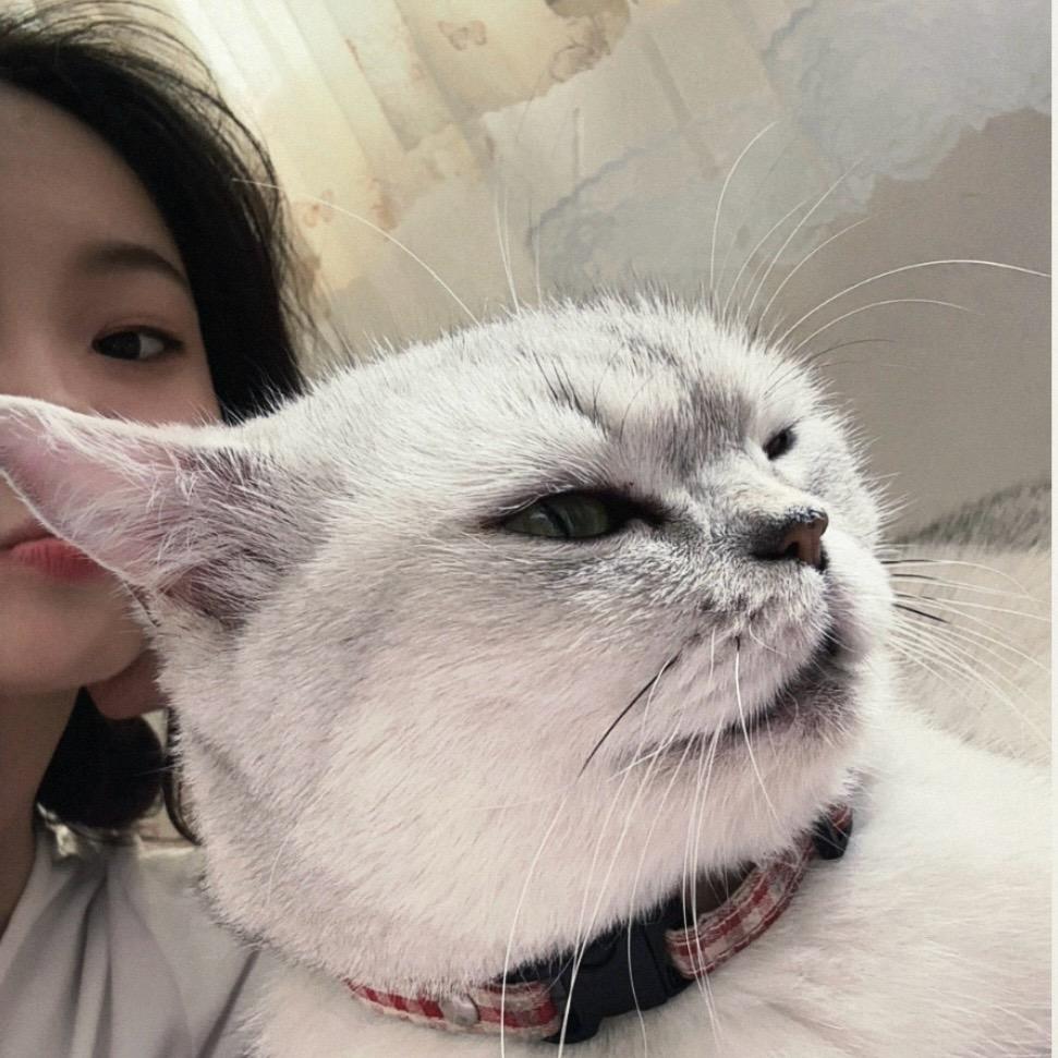 重生之在习水干金融