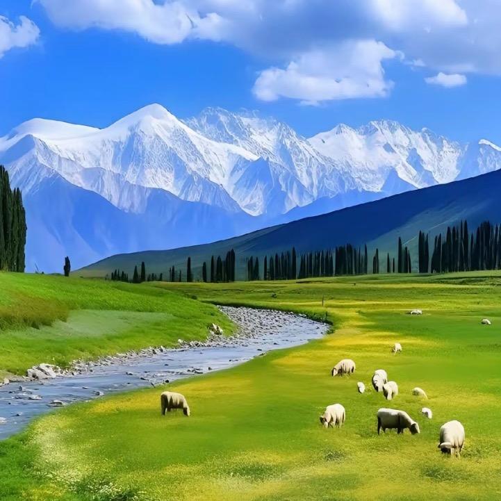 阳光·爱