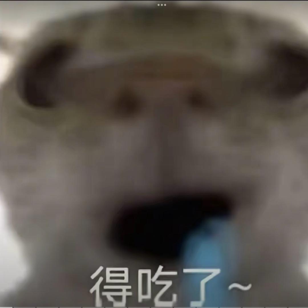 威风的十二少