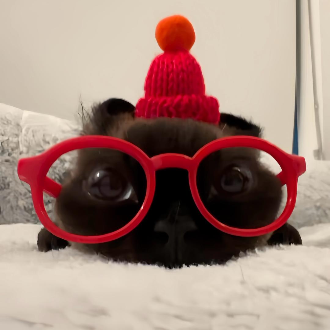 今天有点blissful