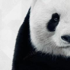 偷心良食