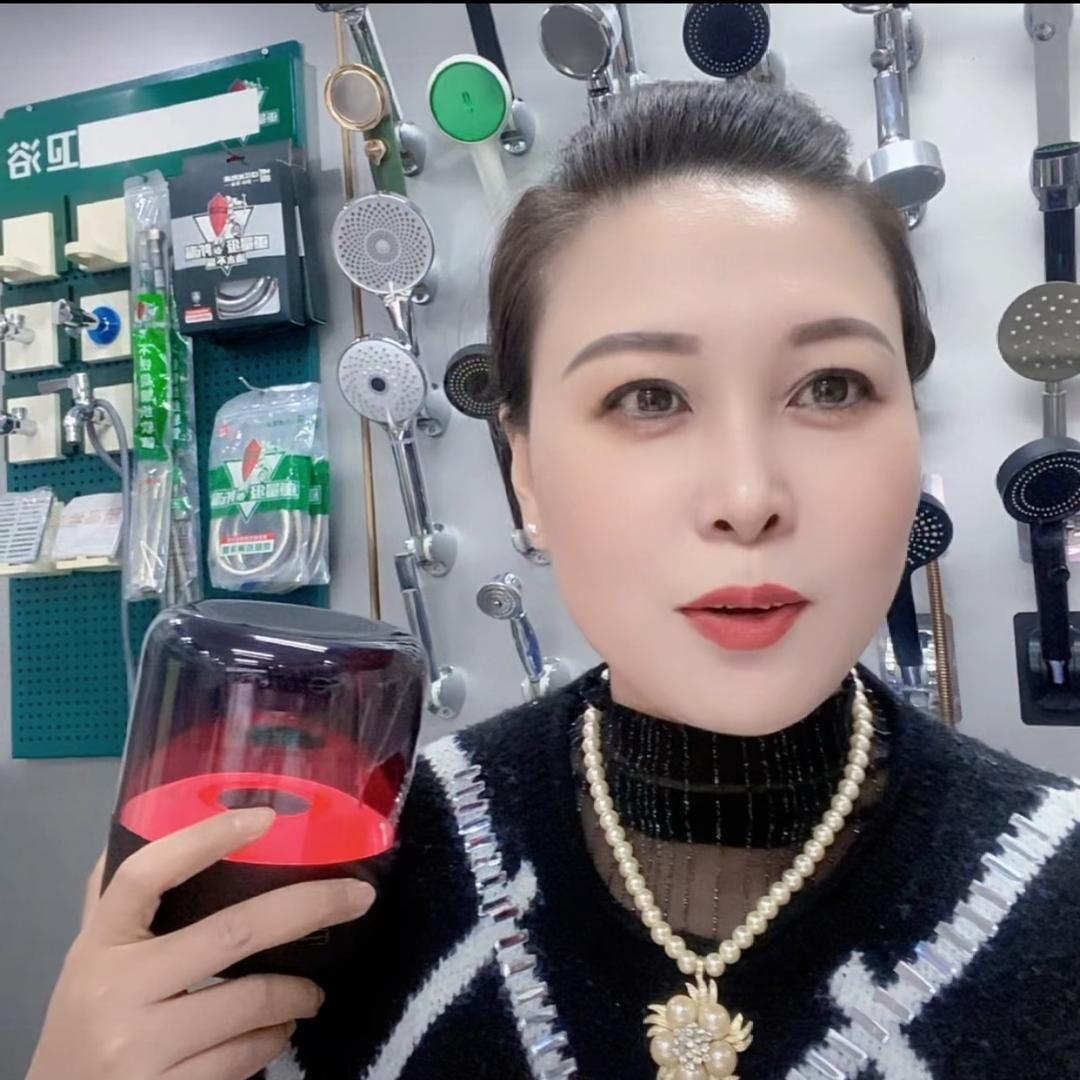 温州海城利达仕卫浴