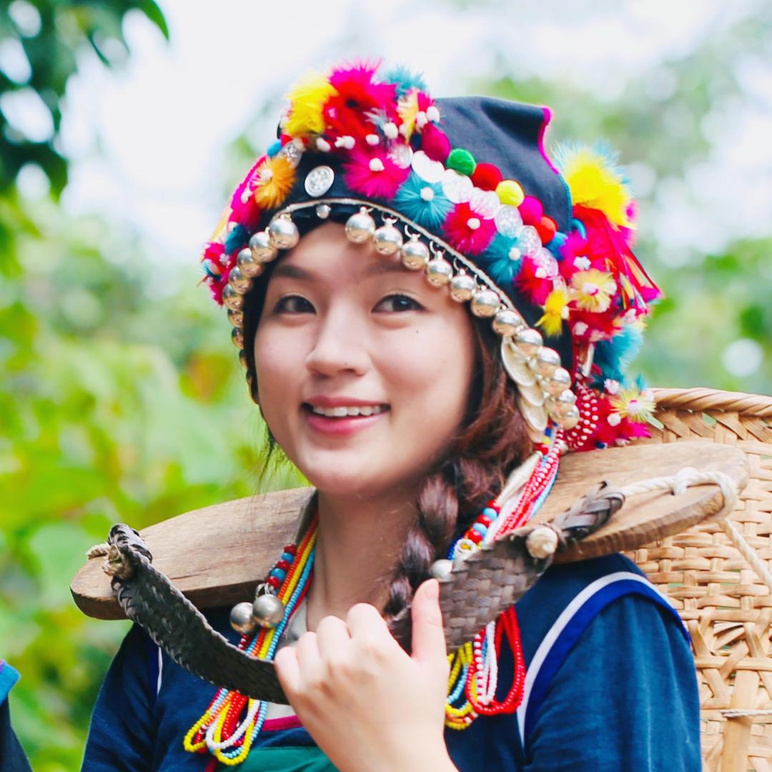 美盈普洱茶山鉴