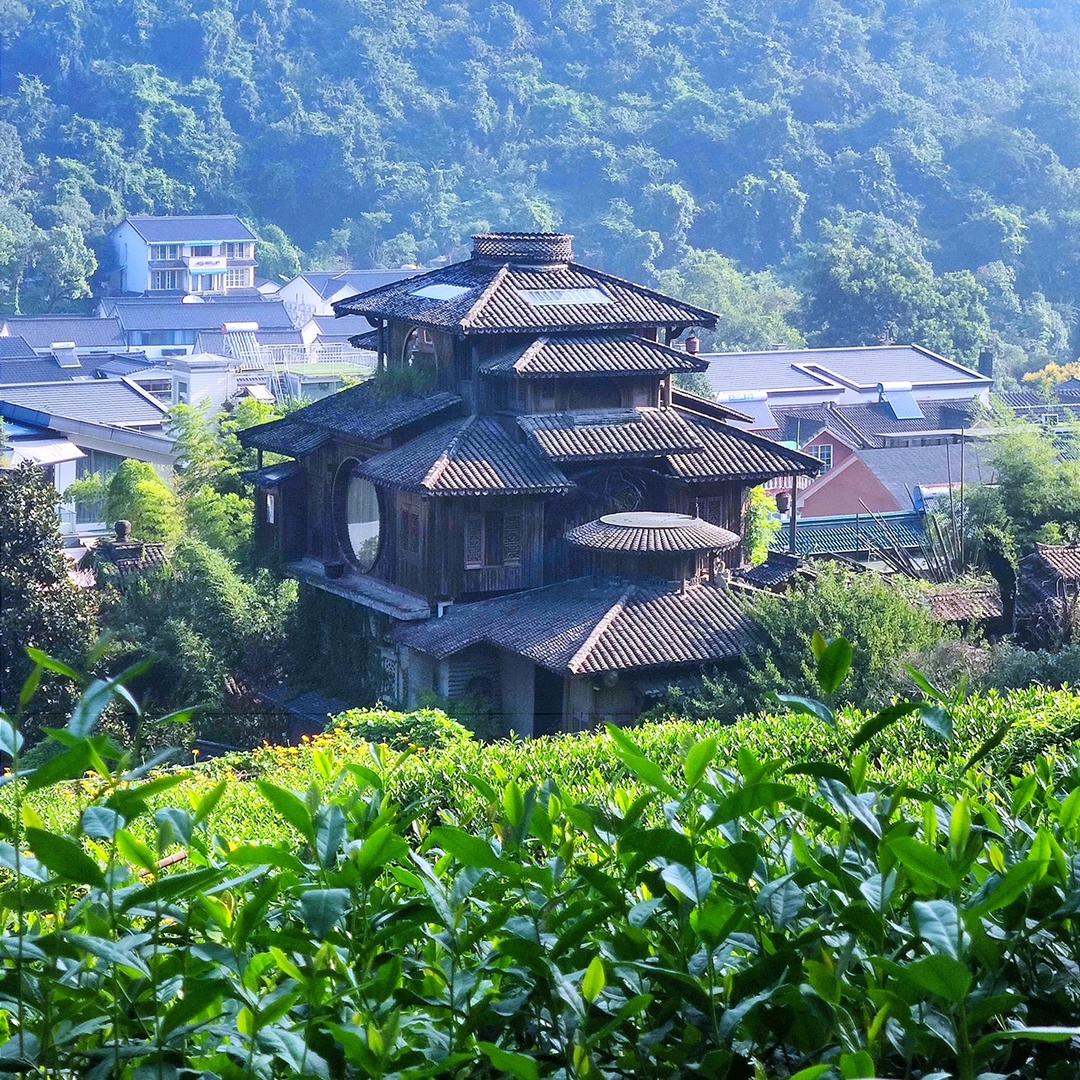 微风忆暖