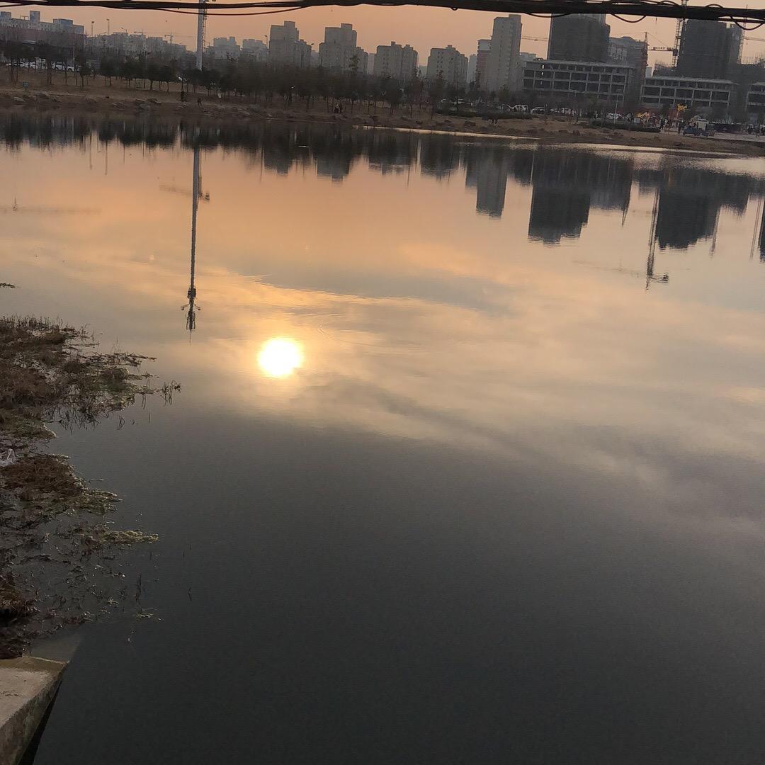 黄昏再美终会天黑