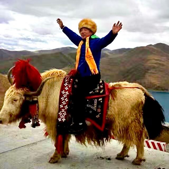 回头是我