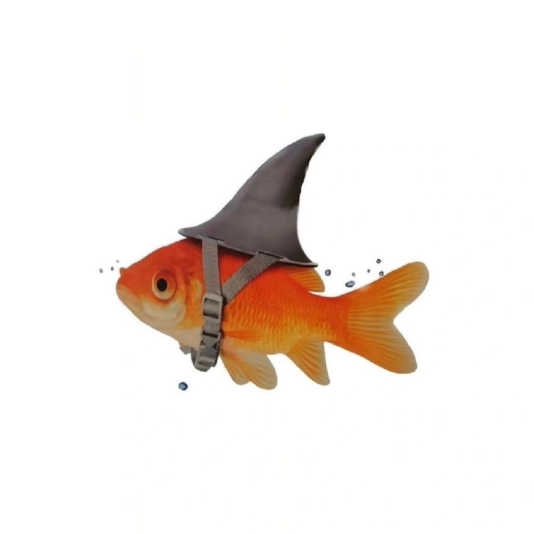 鯨鱼不是金鱼𓆡