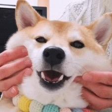 可可乐乐乐