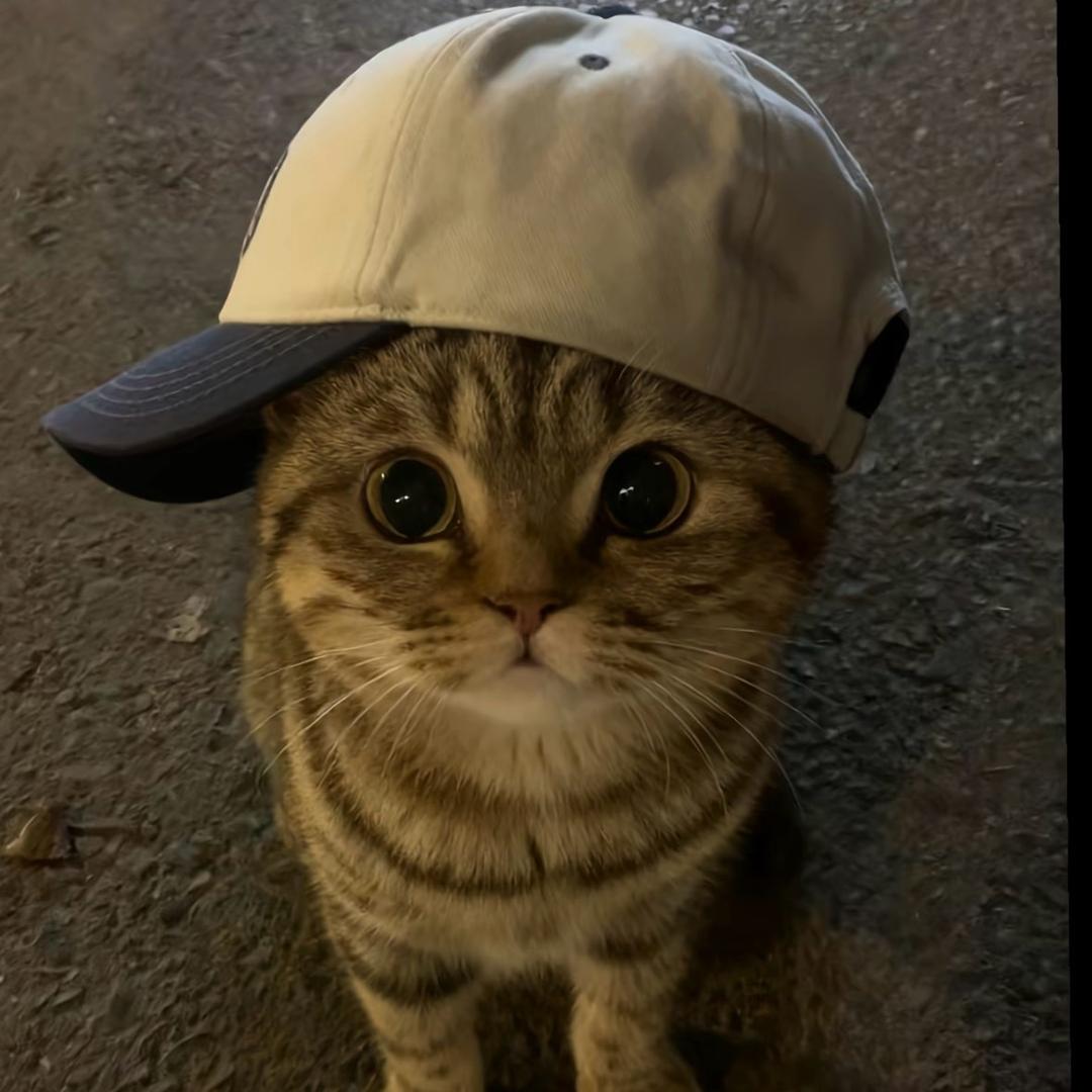 kk  ㅤ