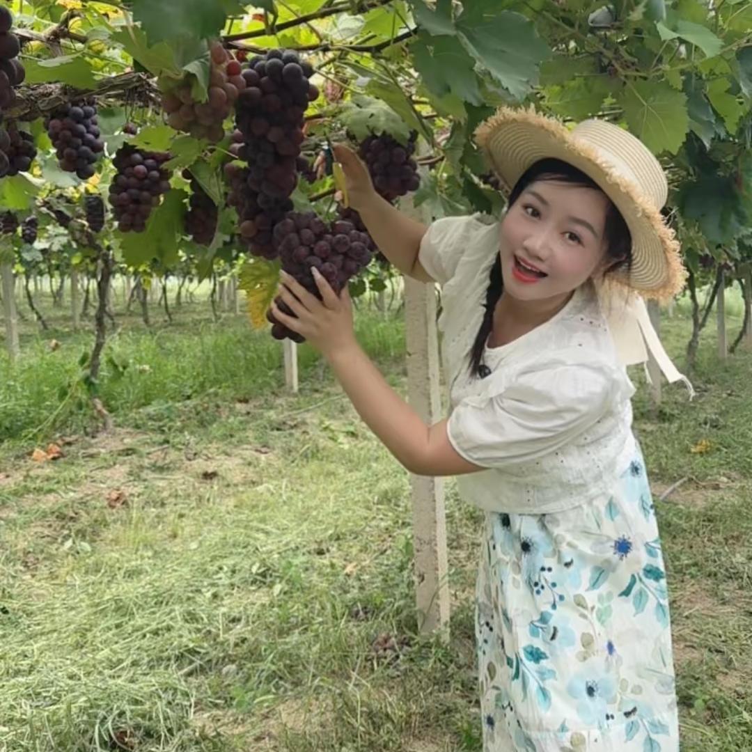 太阳姐姐