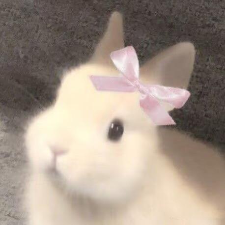 uuoo
