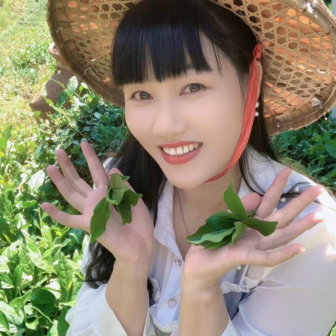 王秀秀茶农直销批发