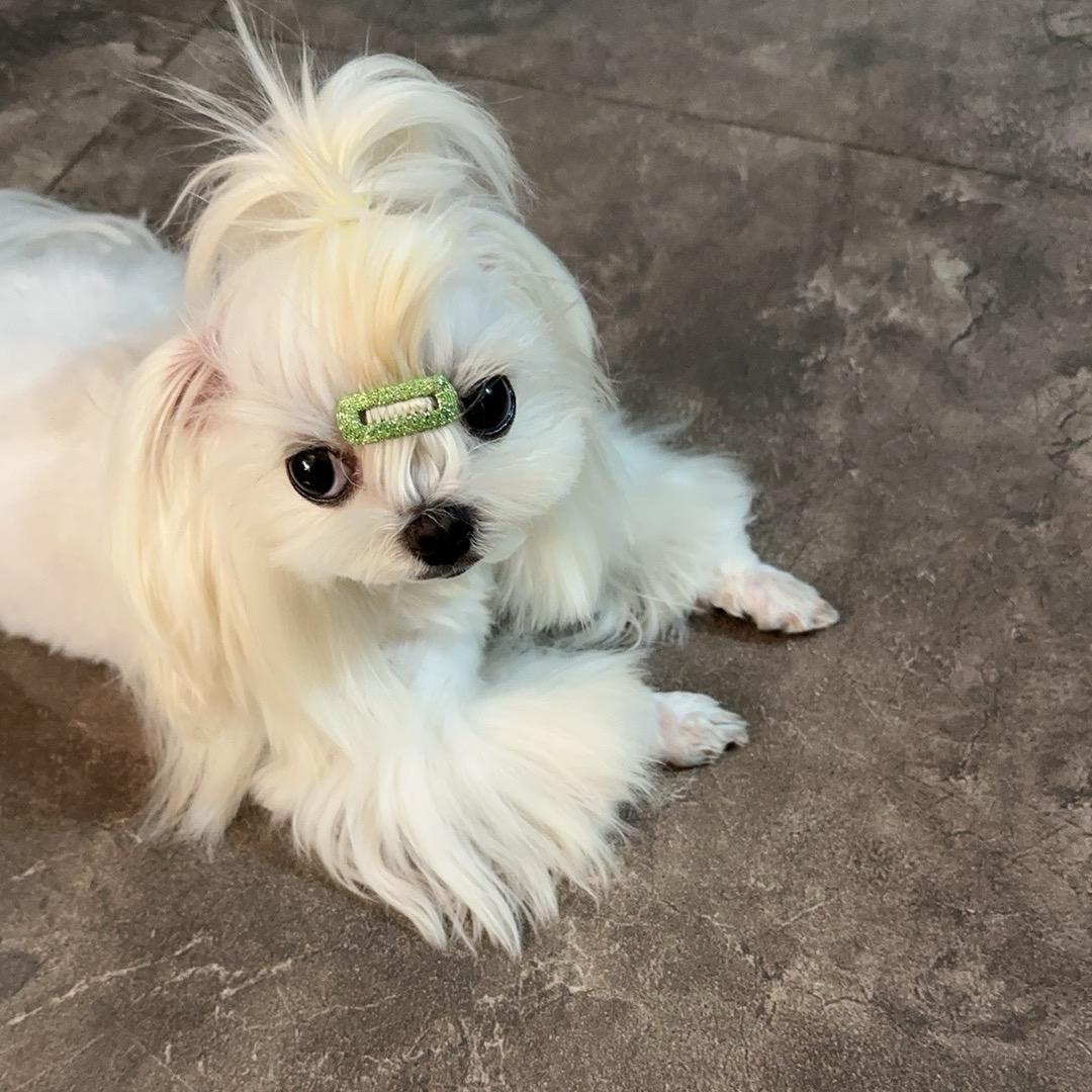 ✨傅钦✨