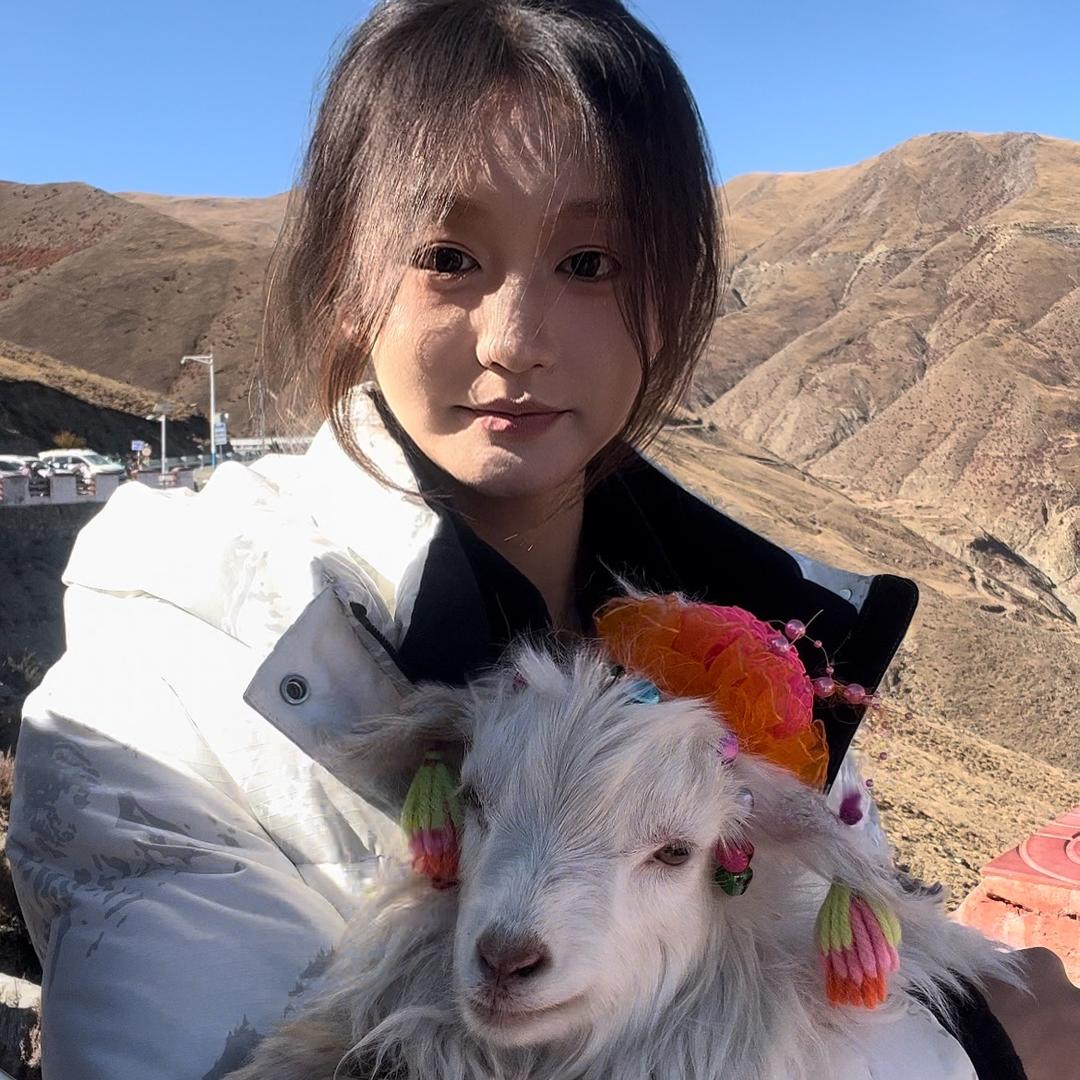 王大锤锤锤