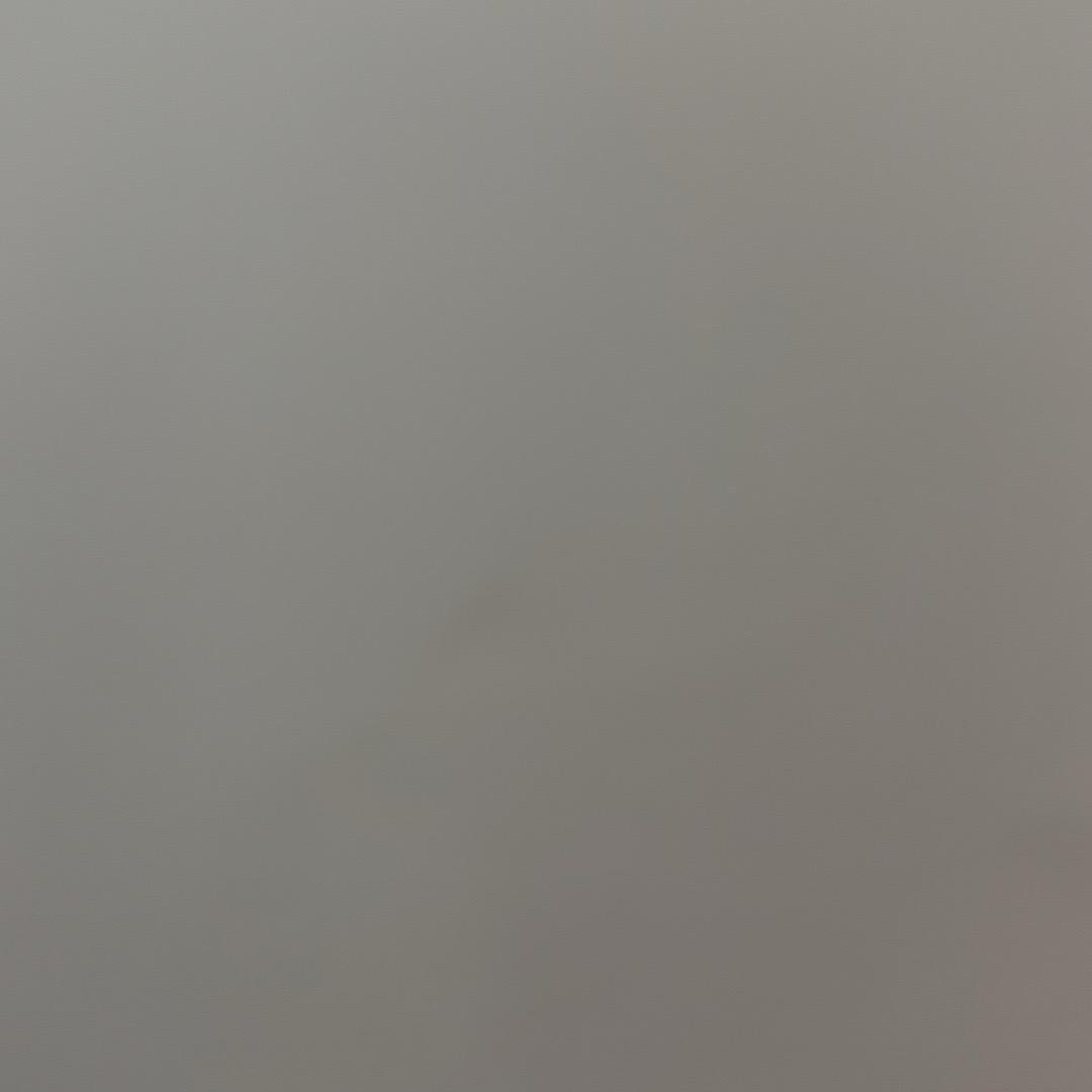 392943841