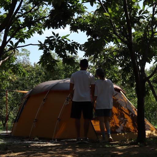 杰克船长camping