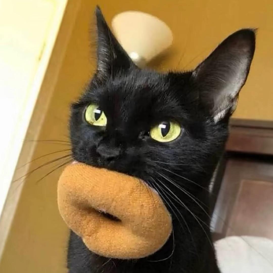 情绪崩溃了去厕所偷偷哭发现每一间都有屎