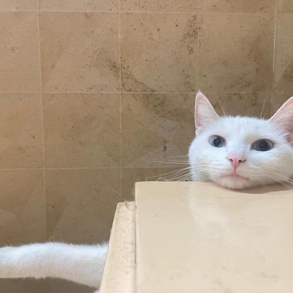 棠