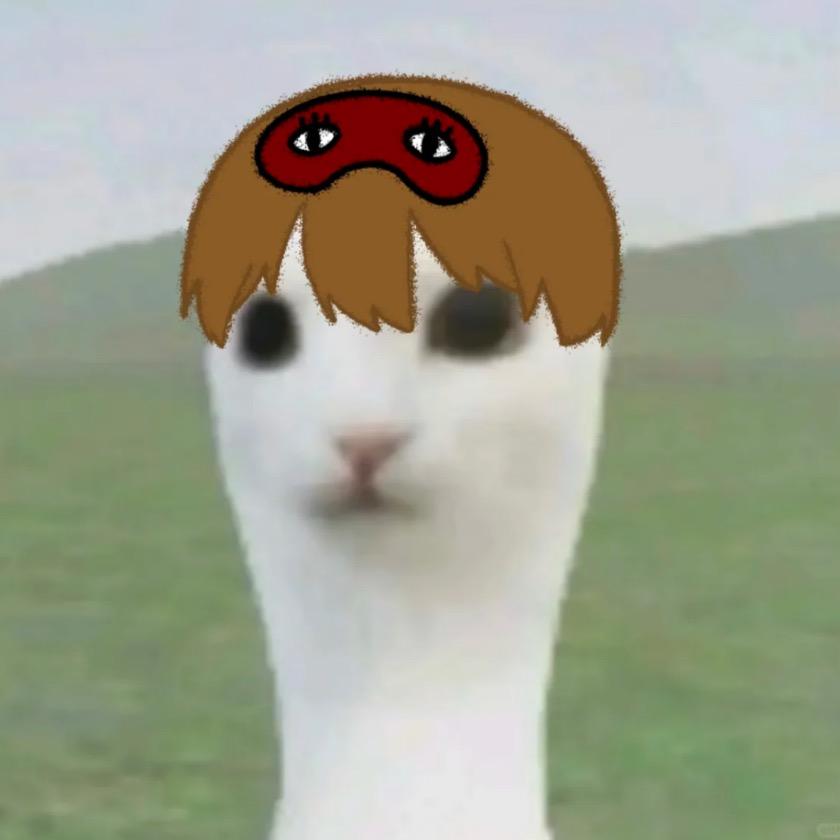 纸条君