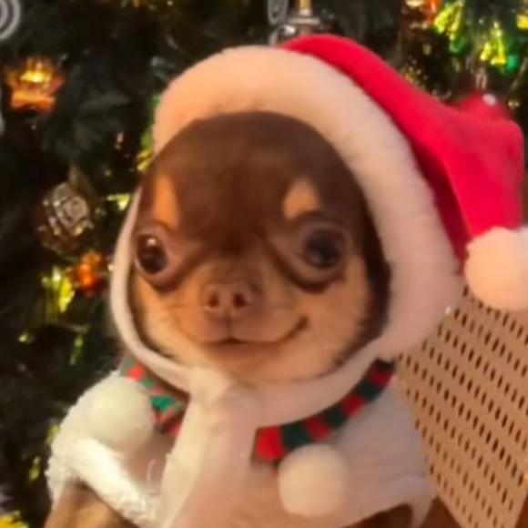 女神降临我睡觉