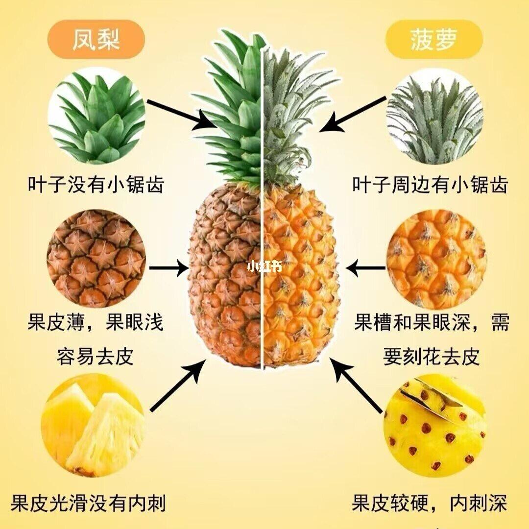 产地直销直销凤梨