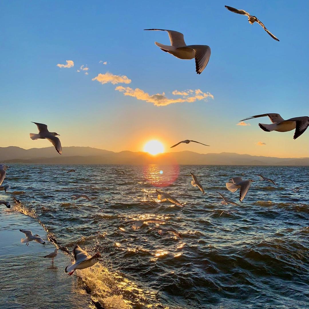 海蓝的梦.