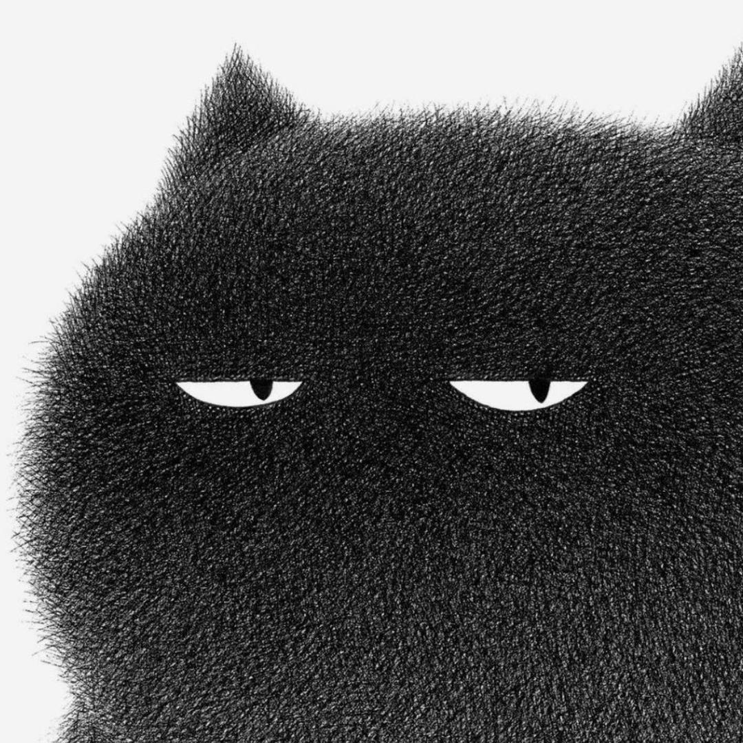 🐈‍⬛