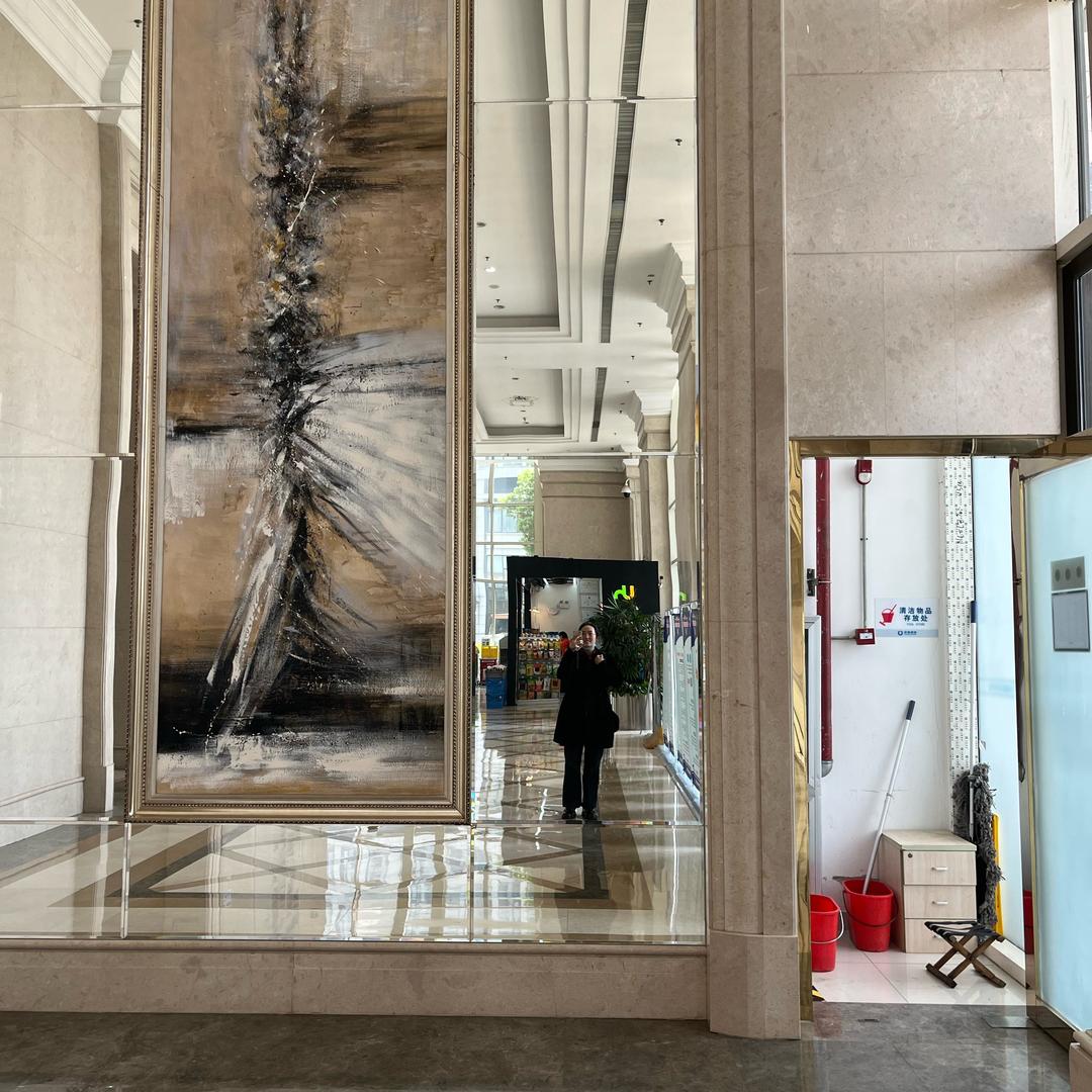 武汉使命必达齐兄