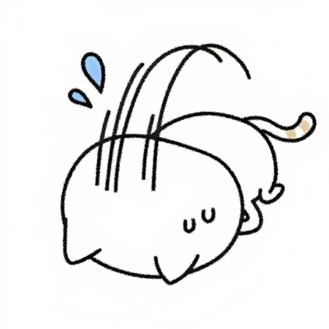 屿