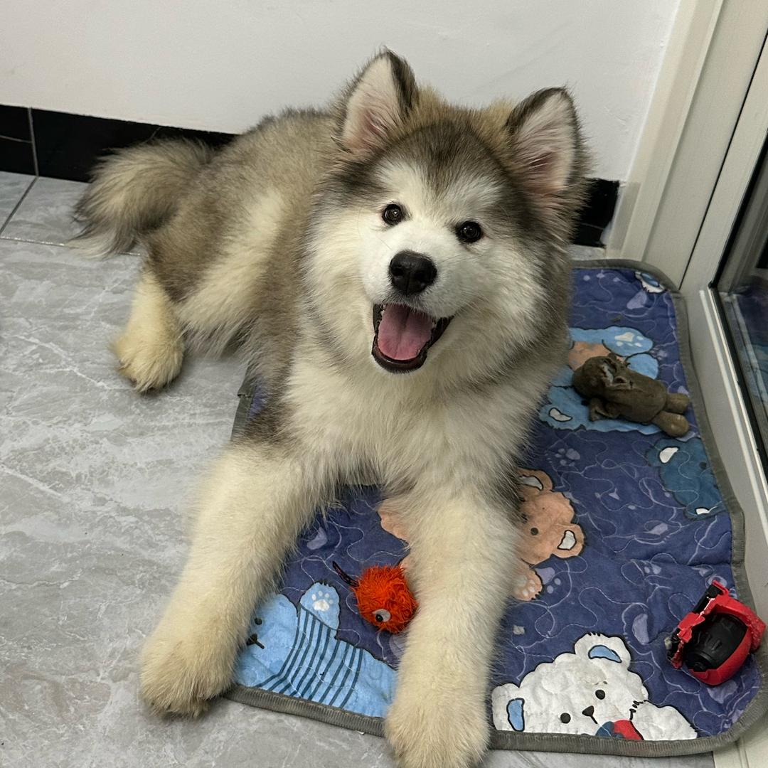 小杨！
