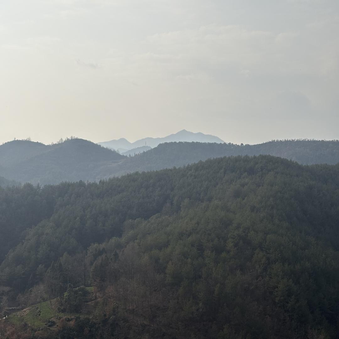 秦岭小马哥