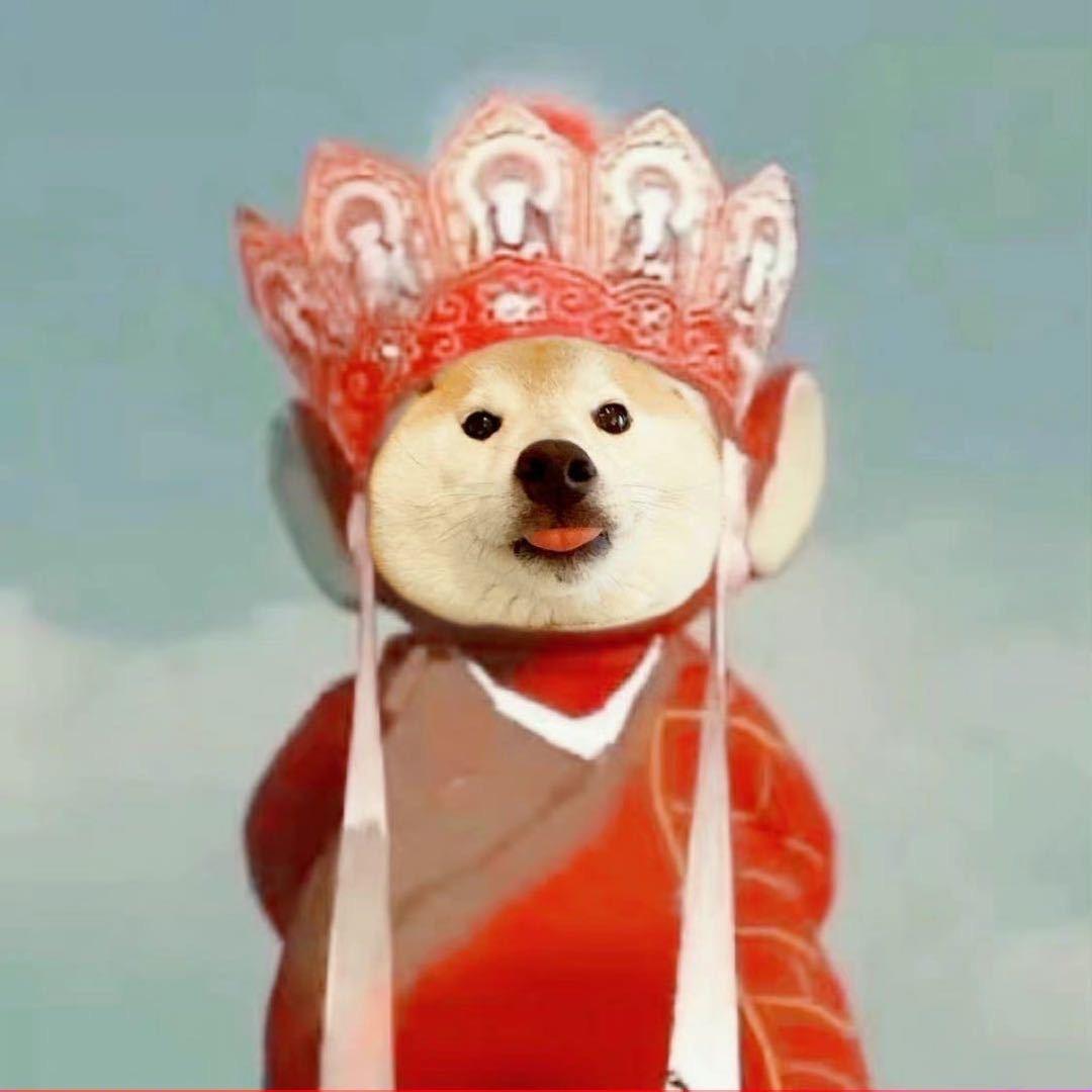 妮妮