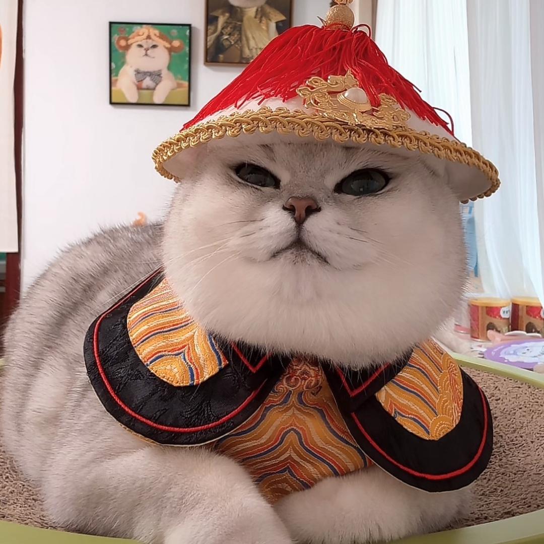 冷酸灵智取王世昌