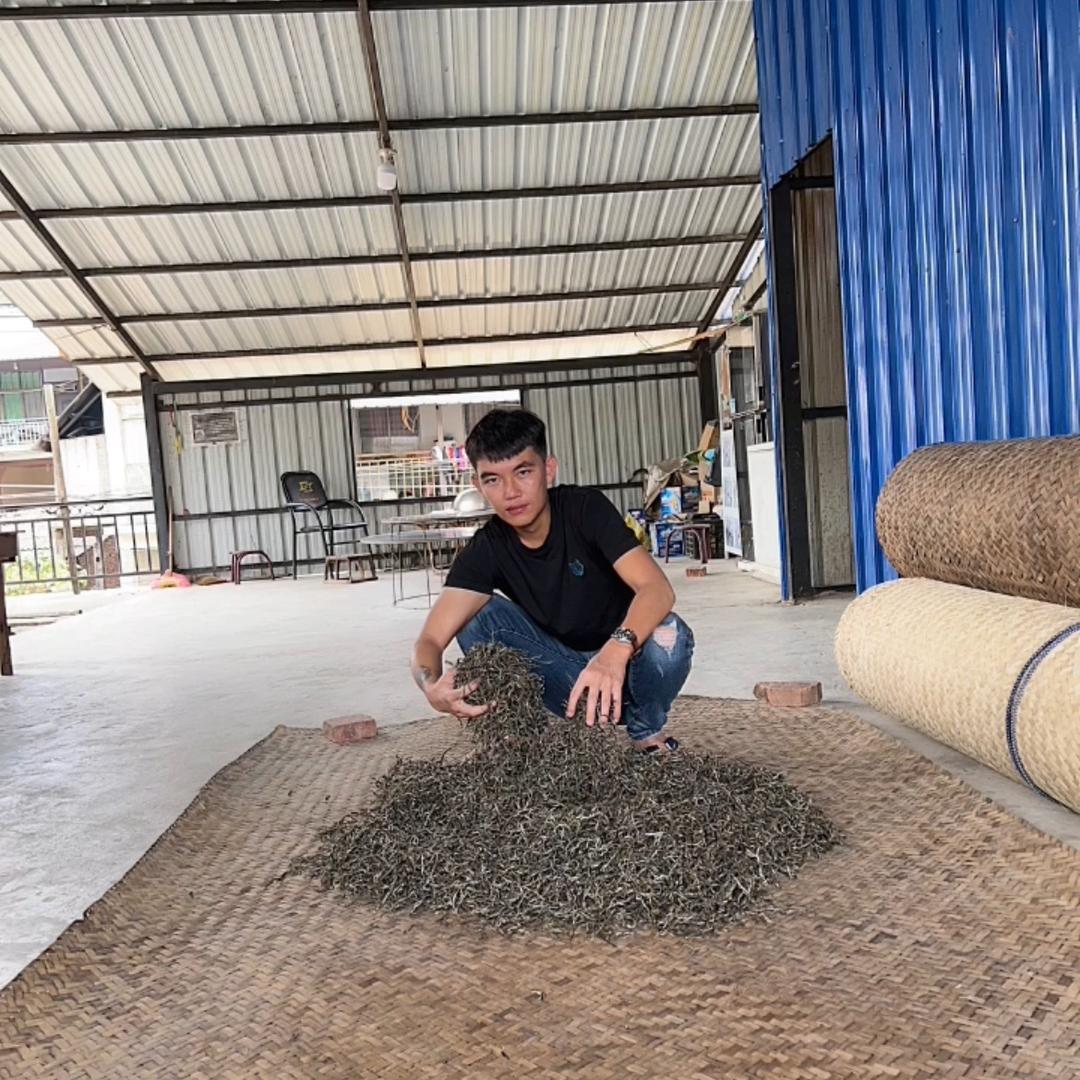 拉祜族涛弟的茶（小号）