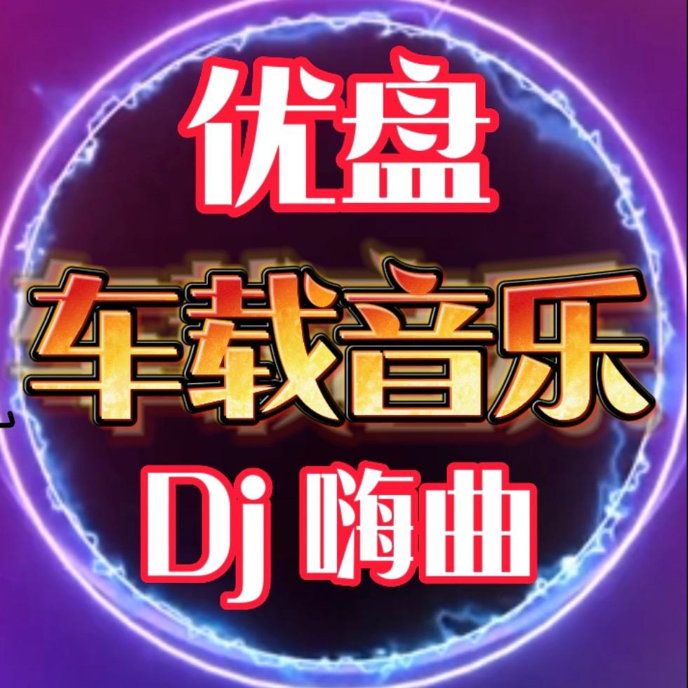 阿飞音乐U盘