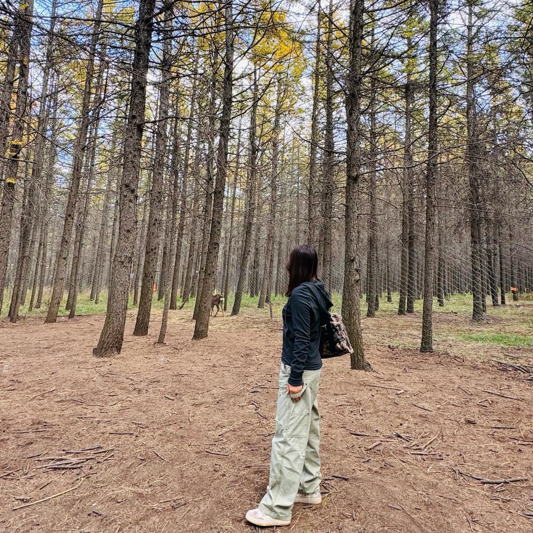 ②拾⑦་💜 🌾