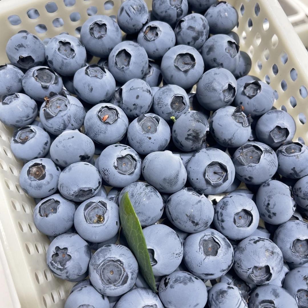 山东水果仓-水果到家