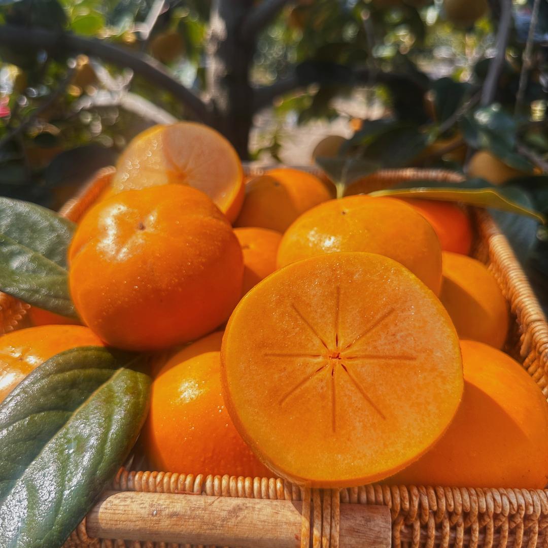 垚垚领鲜 阳丰脆柿