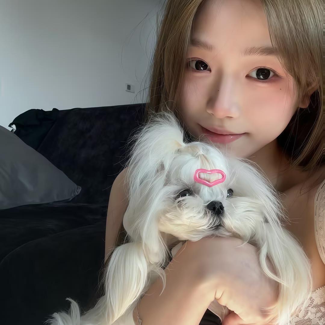 羊羊-