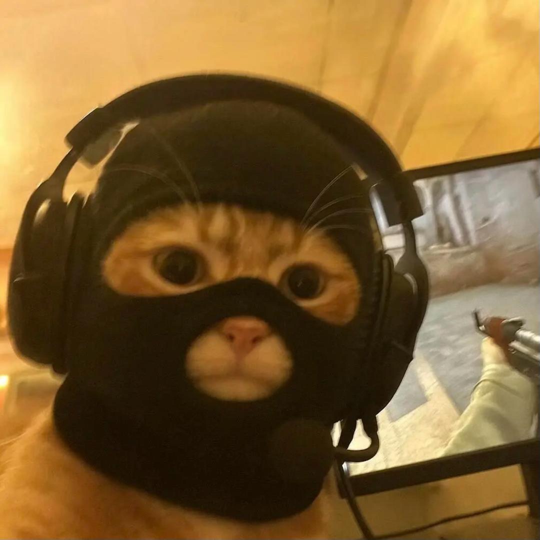 软柿子