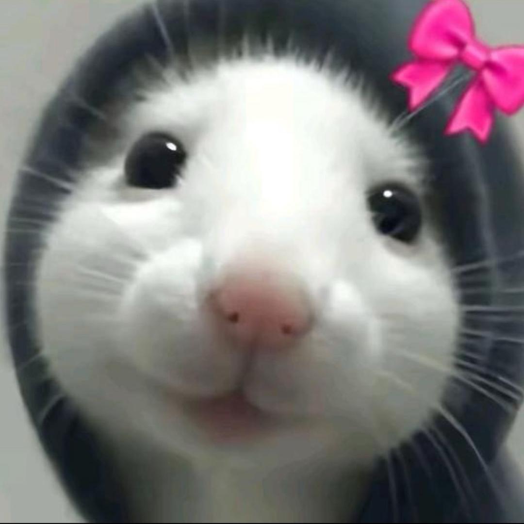 咪