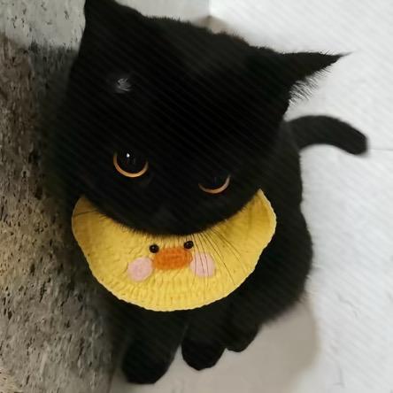 小猫妹（有闺版）